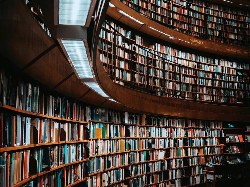 A modern library with curved walls of books on two levels