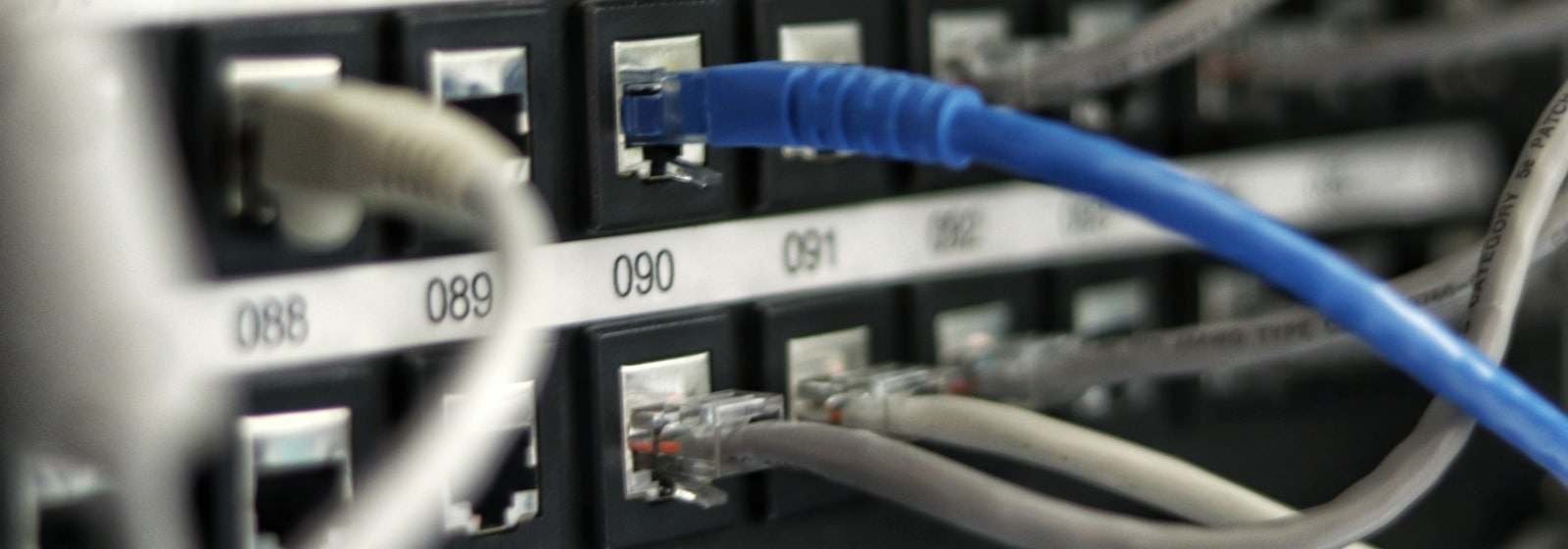 Network cables plugged into a labelled patch panel